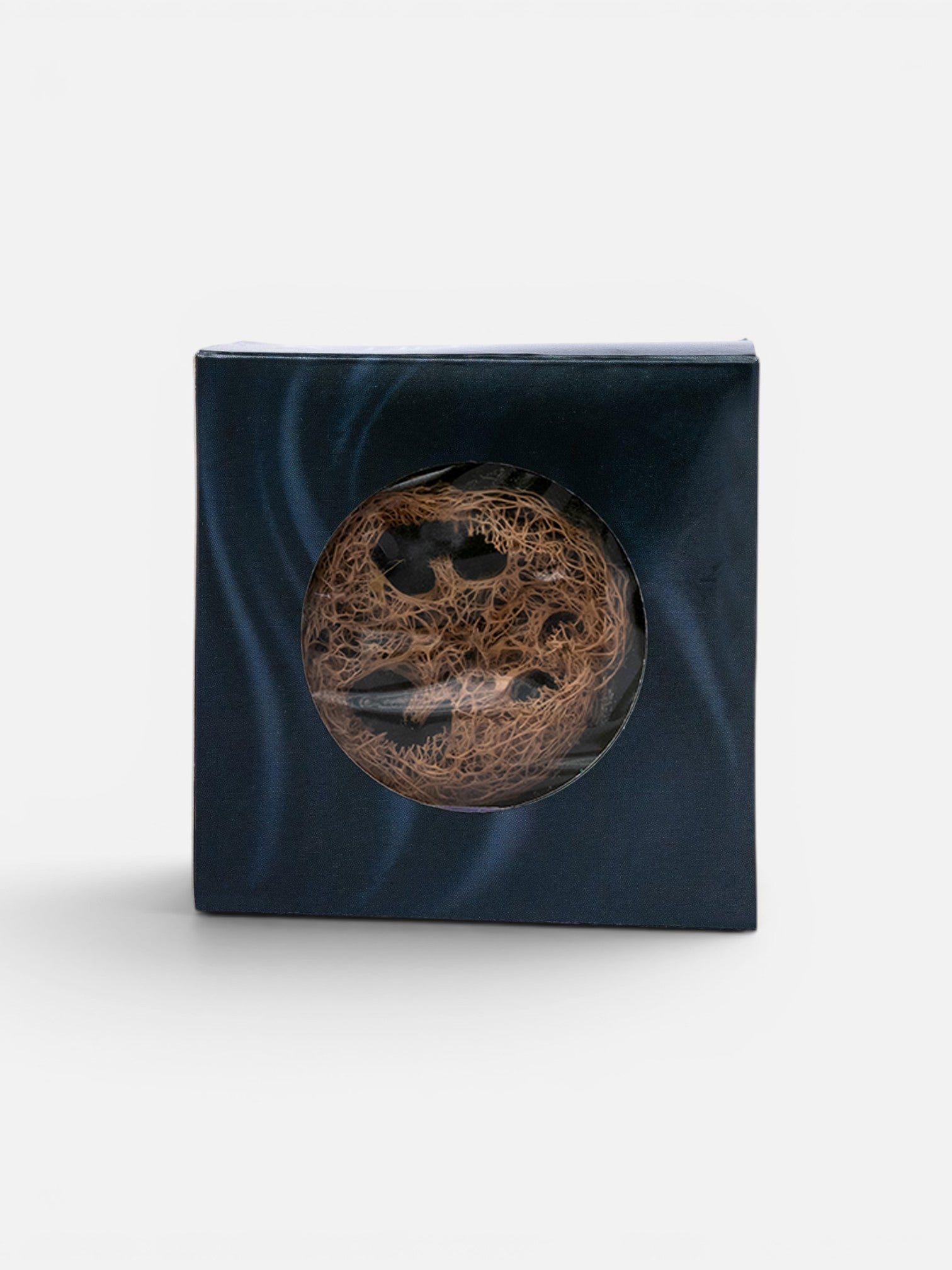 Aloe Vera Luffa Soap