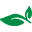 Nisa Naturals logo