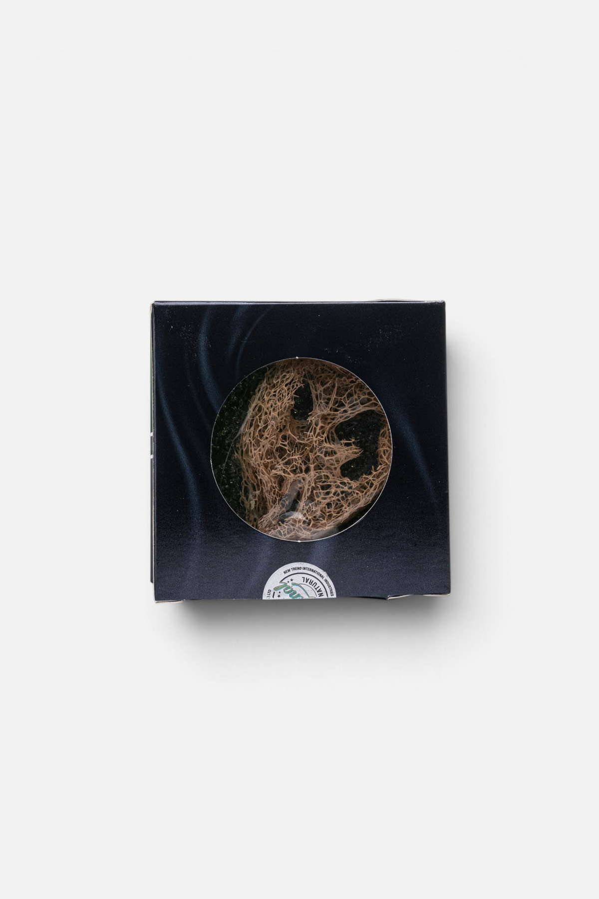 Aloe Vera Luffa Soap